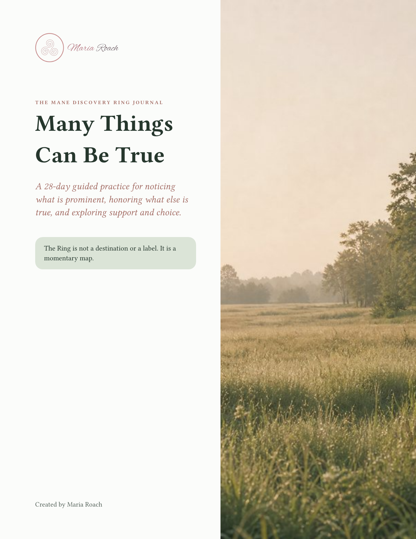 Many Things Can Be True guided journal cover